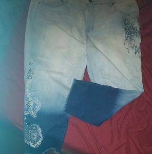 TERRA & SKY sz 24 Lmt Edition Jeans